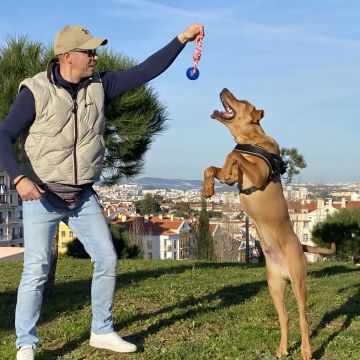 Hundetraining - Betreuung und Training - Trained220841942Dogs - Kusel